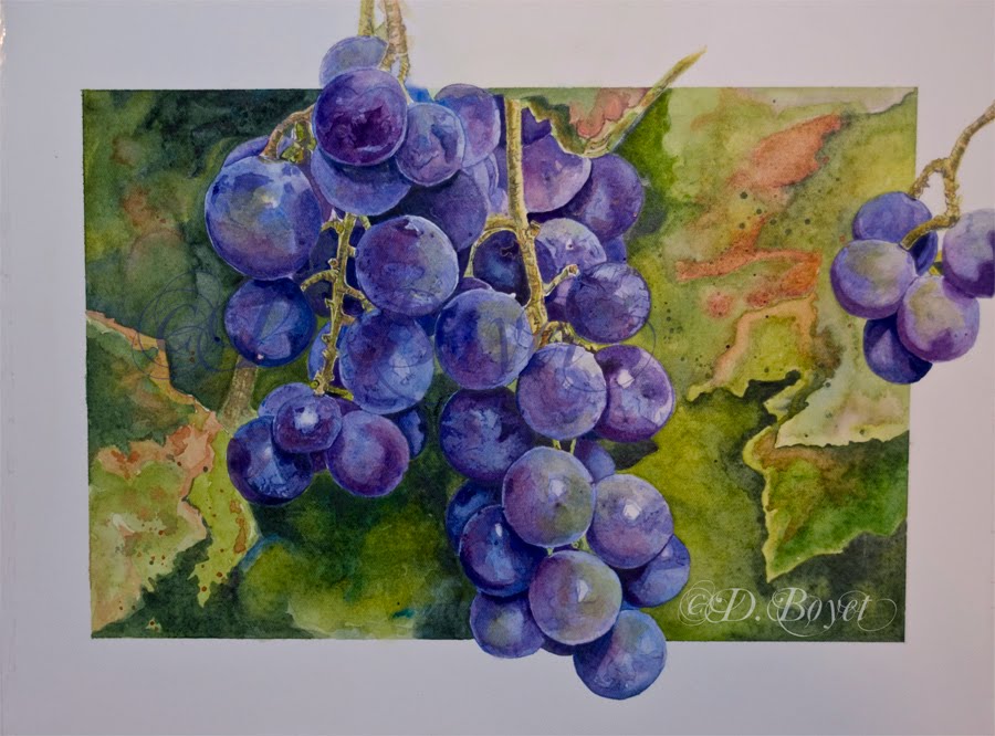 900x666 Wildside Art...for Really Wild Art Grape Watercolor Painting