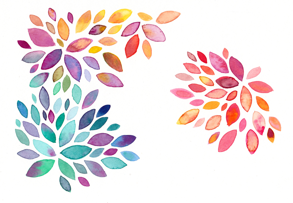 1000x692 Illustration Banner Daniella Echeverria