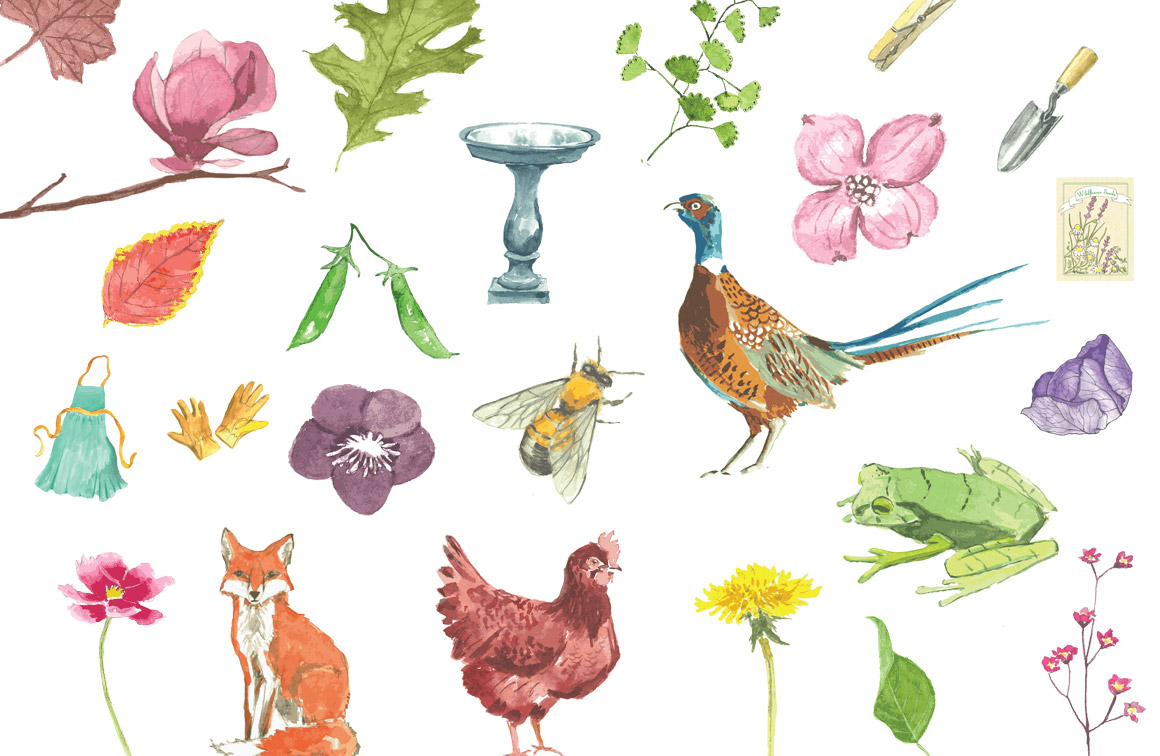 1160x756 Watercolor Graphics Amp Textures Pack For Premium Members