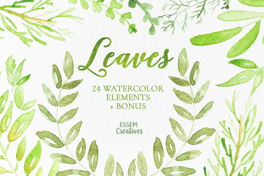 900x600 Watercolor Leaves And Branches Clipart Essem Creatives