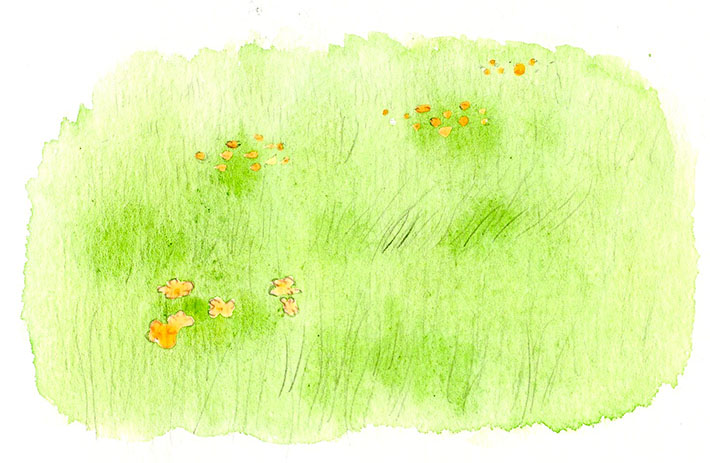 710x463 How To Paint Grass In Watercolor Craftsy Tutorial