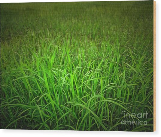 536x456 Original Watercolor Painting Of Green Grass Field Painting By