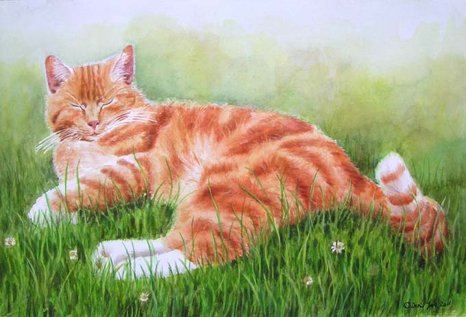 680x462 Red Cat Laying In Grass Watercolor Amp Oil Paintings Of Roses And