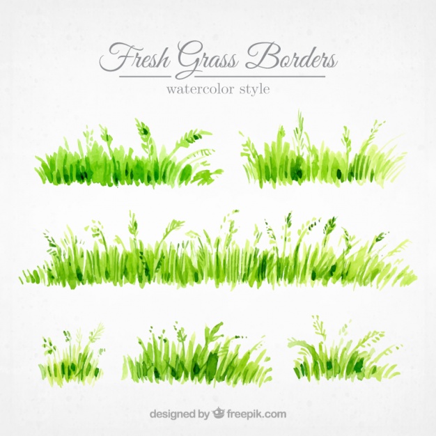 626x626 Set Of Grass Borders Painted With Watercolor Vector Free Download