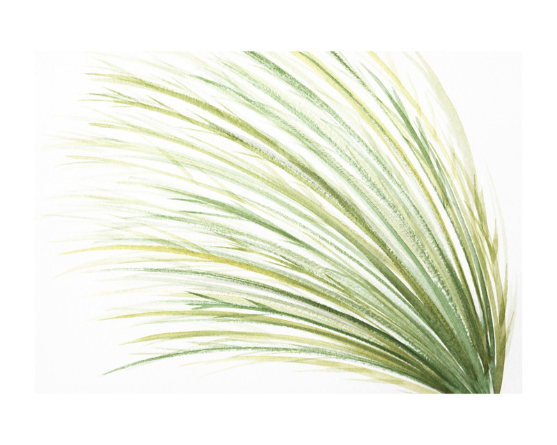 800x640 Tall Grass Watercolor Wall Art Prints By Loree Mayer Minted