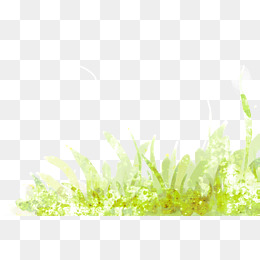 260x260 Watercolor Grass Png Images Vectors And Psd Files Free