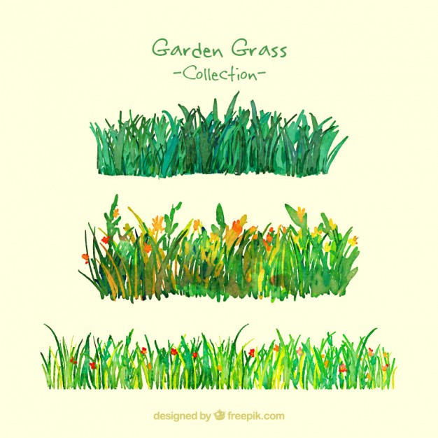 626x626 Watercolor Garden Grass Pack Vector Free Download