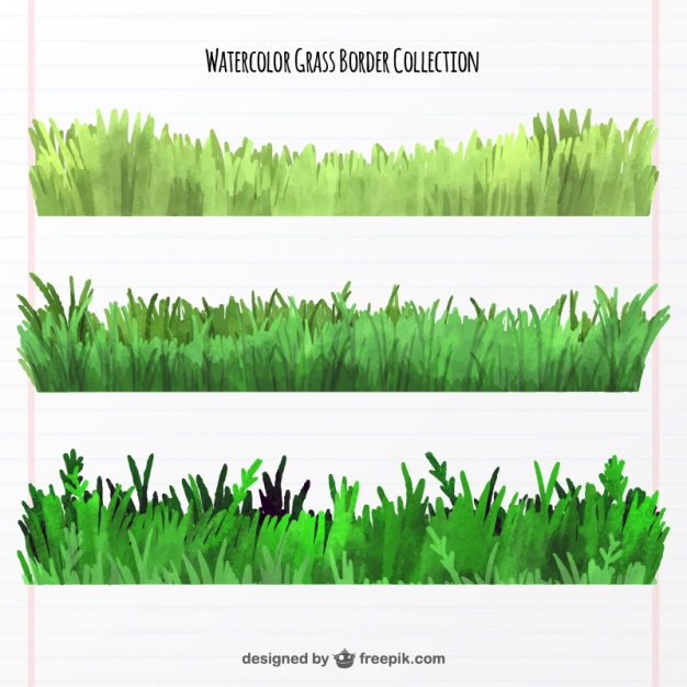626x626 Collection Of Three Watercolor Grass Borders Vector Free Download
