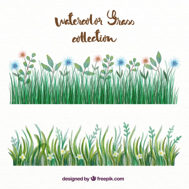 626x626 Watercolor Grass With Flowers Set Vector Free Download