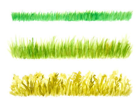 480x360 Watercolor Painting Grass Field