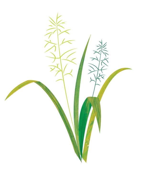 612x792 Grass With Watercolor Texture Uwec Hybrid Bus Design Project