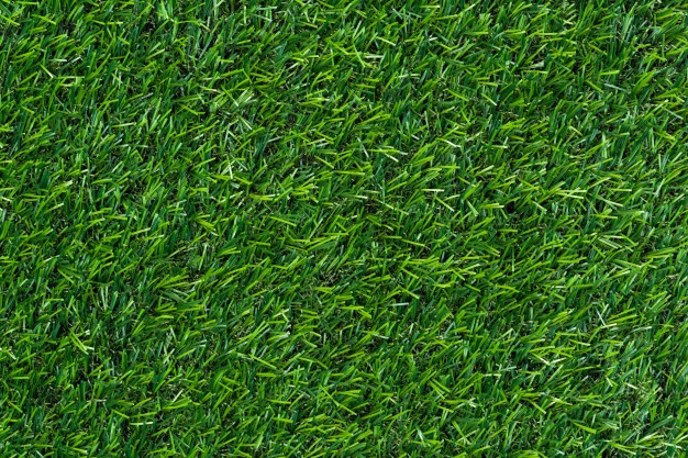 626x417 Grass Vectors, Photos And Psd Files Free Download
