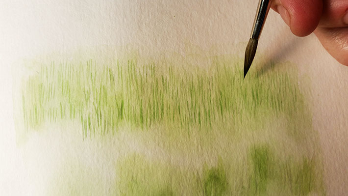 710x399 How To Paint Grass In Watercolor Craftsy Tutorial