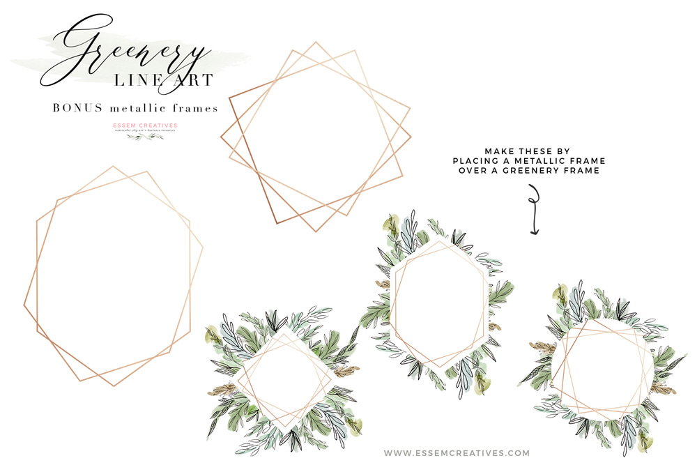 1000x667 Watercolor Greenery Line Art Png Clipart, Tropical Rustic