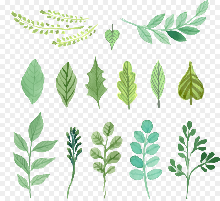 900x820 Watercolor Painting Leaf