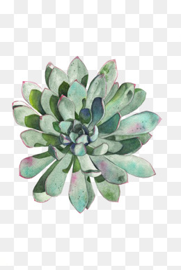 260x386 Watercolor Greenery Png, Vectors, Psd, And Clipart For Free