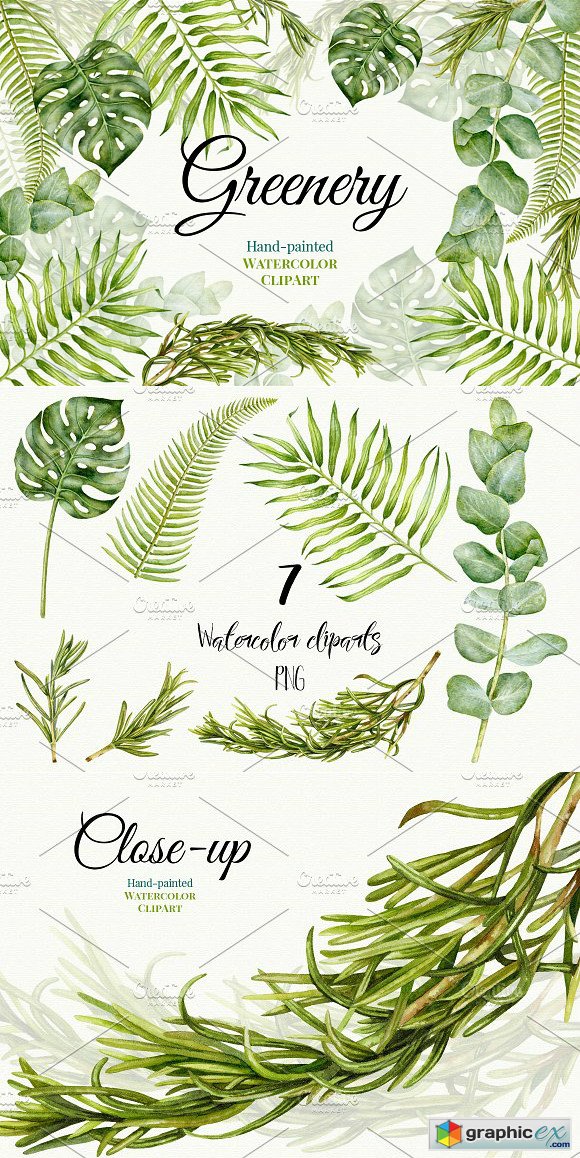 580x1158 Wedding Watercolor Greenery Free Download Vector Stock Image