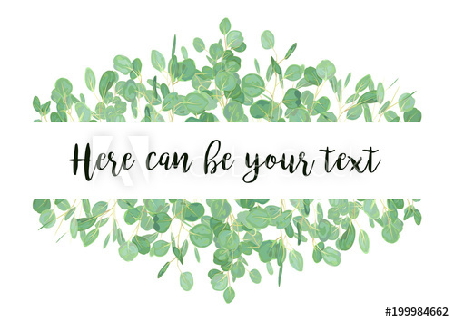 500x354 Wedding Eucalyptus Horizontal Vector Design Banner. Rustic