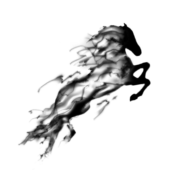 736x736 Watercolor Grey And Black Horse Tattoo Design