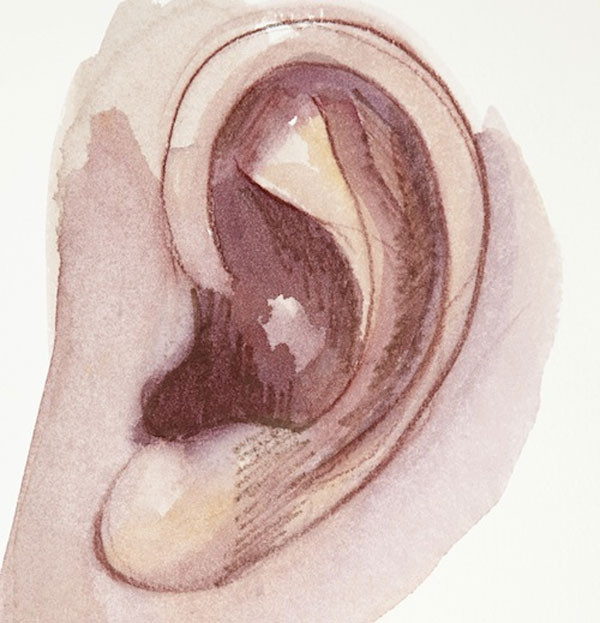 600x623 How To Paint Watercolor Portraits The Easy Way The Ear And Hair