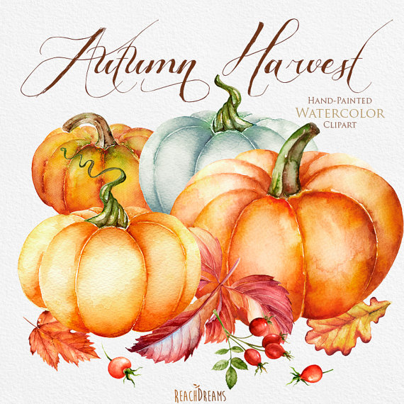 570x570 Pumpkin Watercolor Clipart, Halloween, Autumn, Briar, Yellow