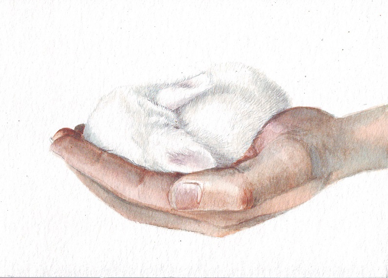 796x570 Hm049 Original Art Watercolor Painting Hands With Bunny By Helga