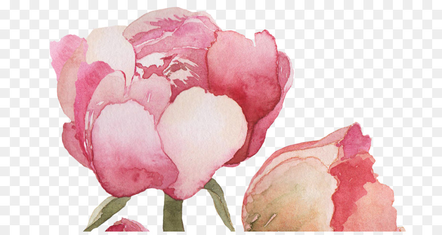 900x480 Script Typeface Cursive Handwriting Font