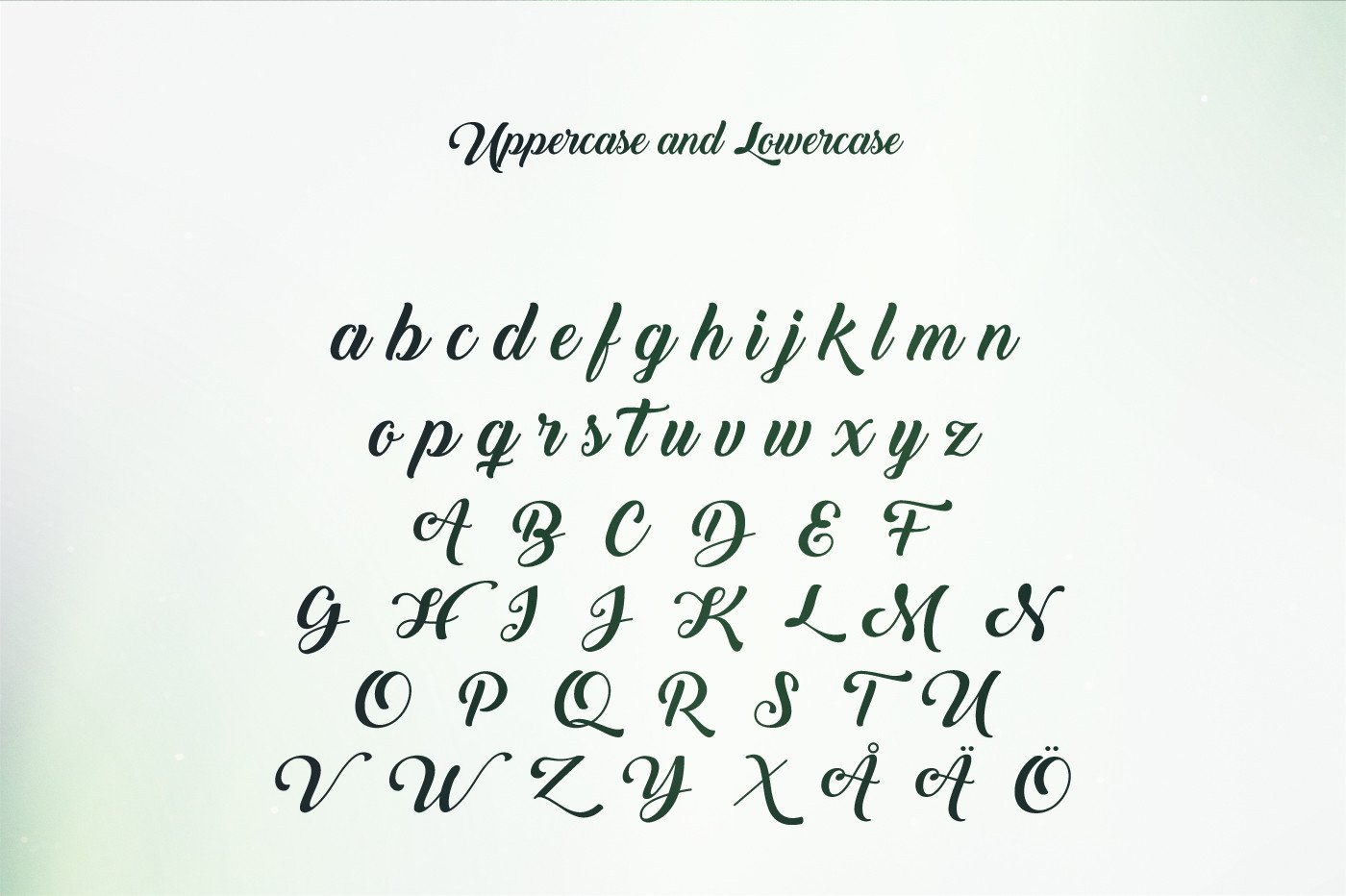 1400x932 Calligraphy Font