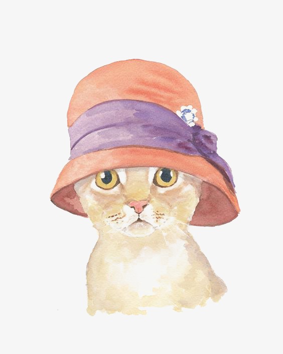 564x705 Hat Kitten, Watercolor Cat, Creative Cat, Hat Png Image And