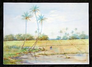 300x218 Early Hawaii Watercolor Painting Rice Planting Under Palms