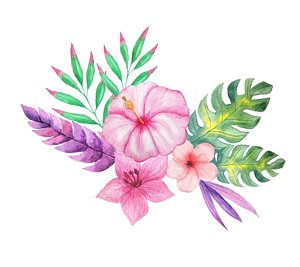 300x267 Hawaiian Flower Paintings