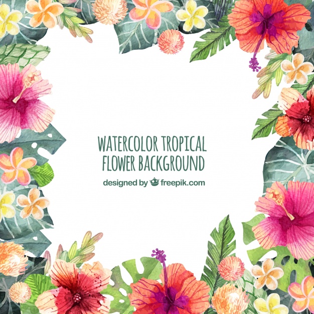 626x626 Hawaiian Flowers Background