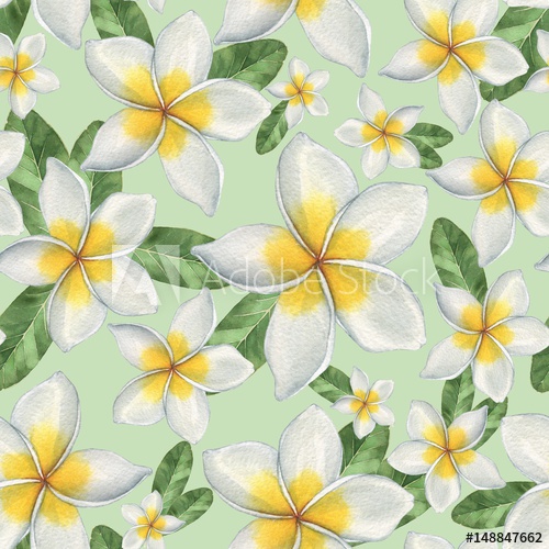 500x500 Hawaiian Flowers. Seamless Floral Pattern. Watercolor Illustration