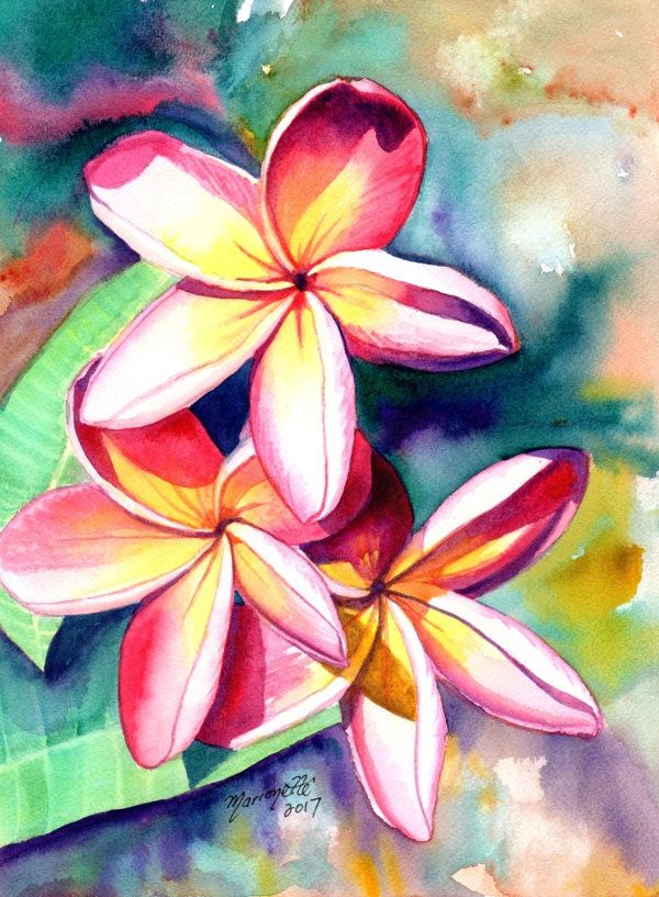 600x817 Plumeria Watercolors, Hawaiian Flowers, Tropical Flowers