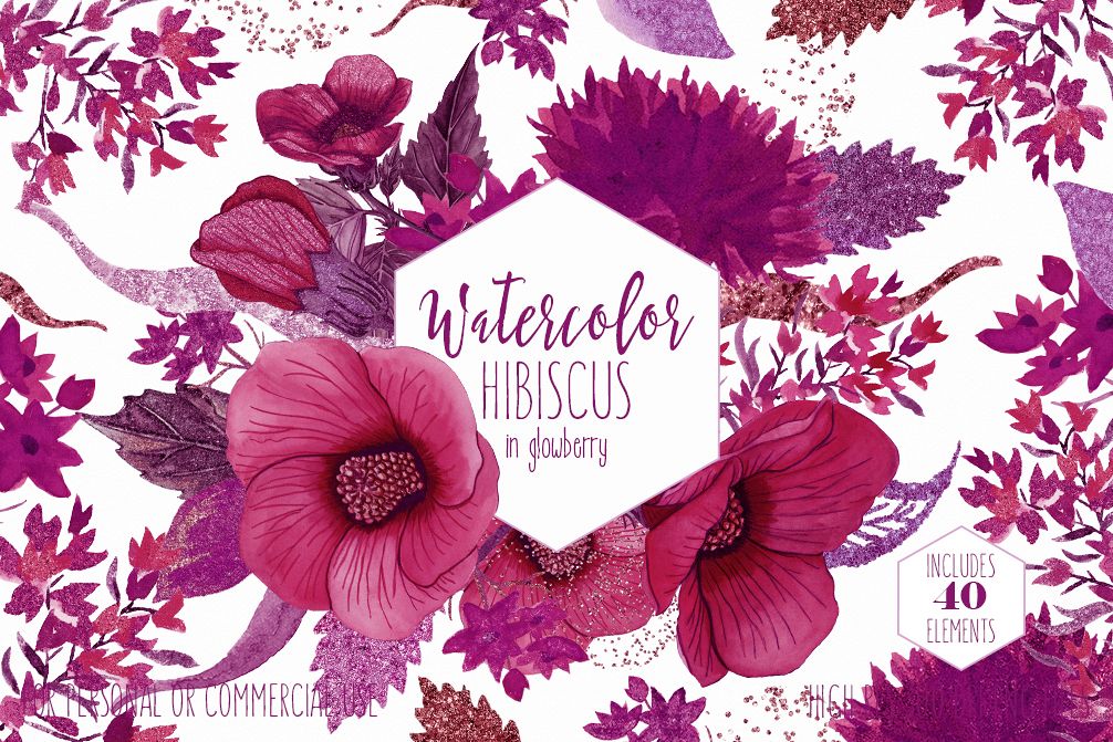 1006x671 Tropical Floral Clipart Commercial Use Watercolor Hibiscus