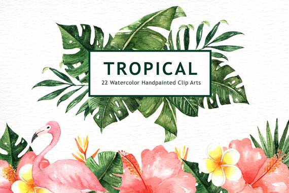 570x382 Tropical Clipart Green Flower