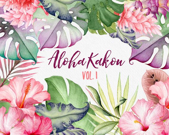 570x456 Watercolour Flowers, Hawaii Clipart, Tropical Flowers, Hibiscus