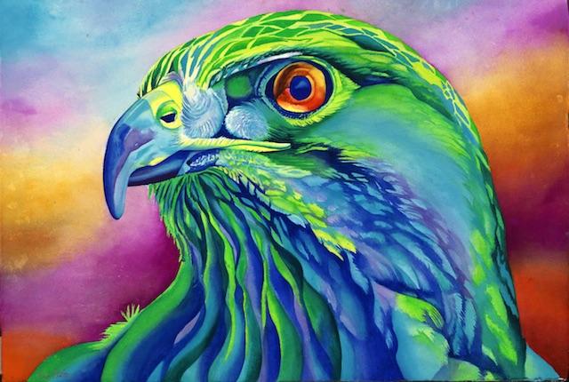 640x430 Tony The Hawk Signed Print From Original Watercolor Hawk Painting