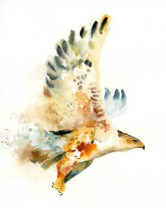 556x698 Watercolor Flying Hawk Tattoo Design
