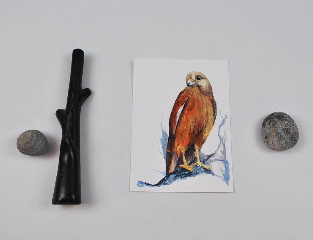 1000x769 Watercolor Hawk Archival Print 5x7 Vespertine Handmade