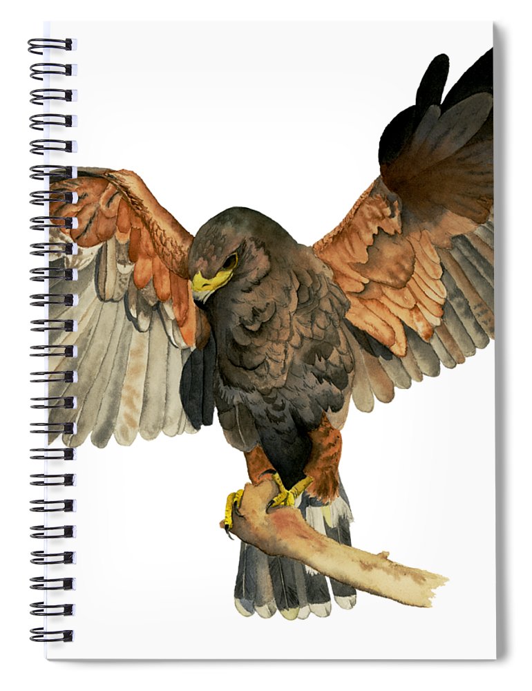 770x1000 Hawk Flapping Wings Watercolor Painting Spiral Notebook For Sale