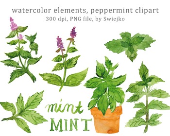 350x280 Watercolor Herbs, Floral Clip Art, Watercolor Leaves, Mint, Peppermint