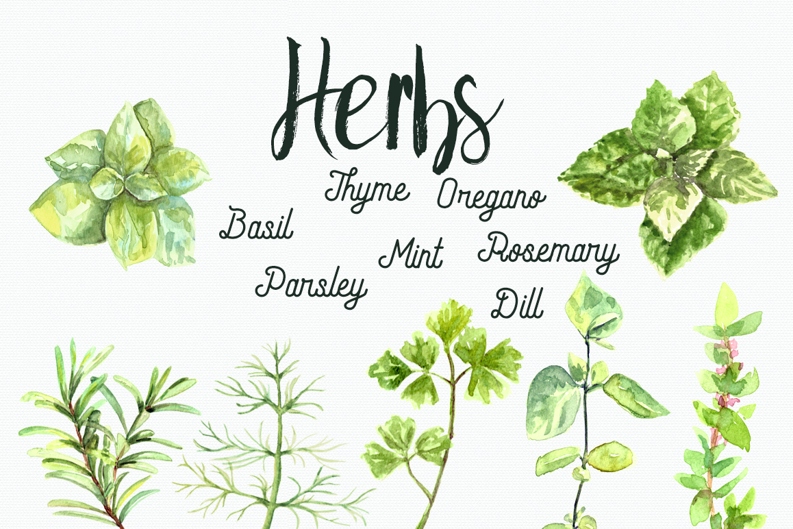 1158x772 Watercolor Herbs Clip Art Set
