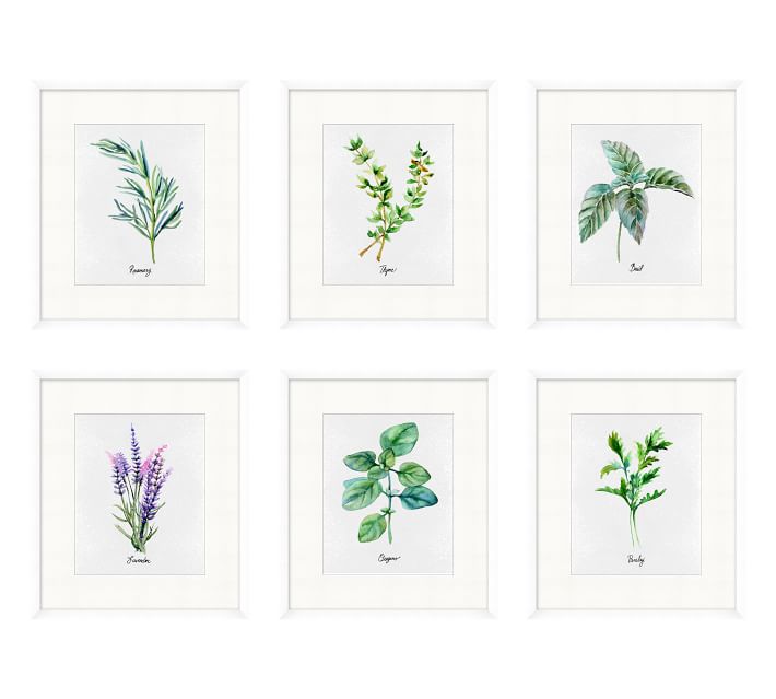 710x639 Watercolor Herbs Paper Print Pottery Barn
