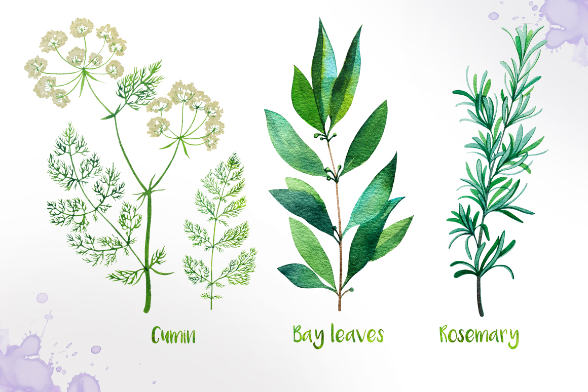 1160x774 Watercolor Herbs