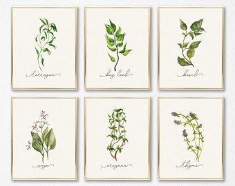 340x270 Watercolor Herbs Etsy