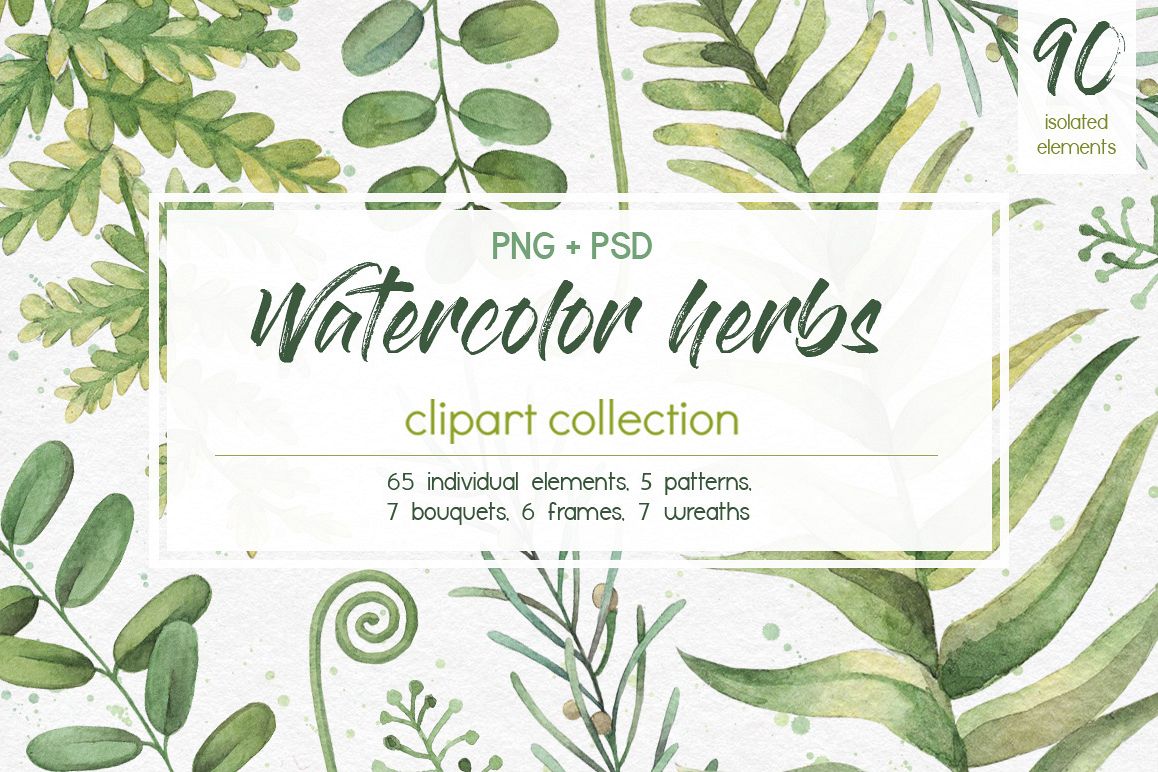 1158x772 Watercolor Herbs. Clipart Collection