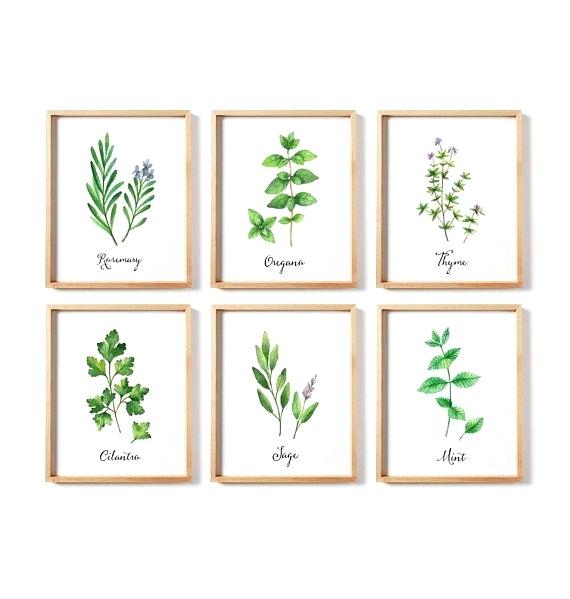 570x599 Herb Kitchen Decor Herbs Print Set Set Of 6 Herb Watercolor Herbs