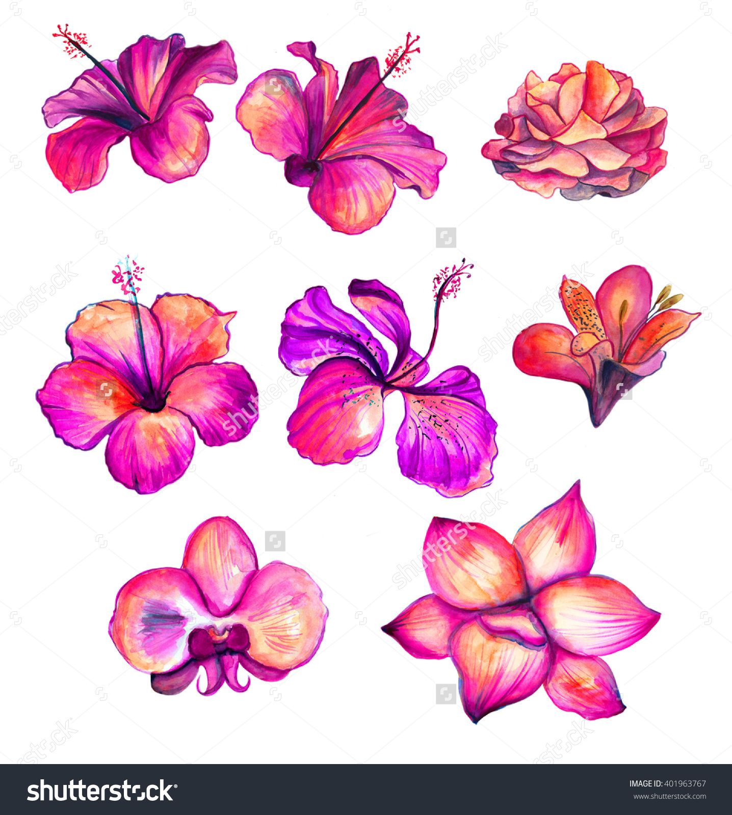 1436x1600 Bright Red Watercolor Hibiscus, Rose, Orchid, Lily Flowers