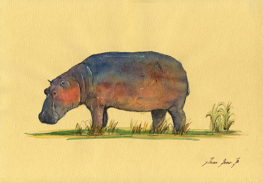 900x627 Hippo Watercolor Painting Painting By Juan Bosco